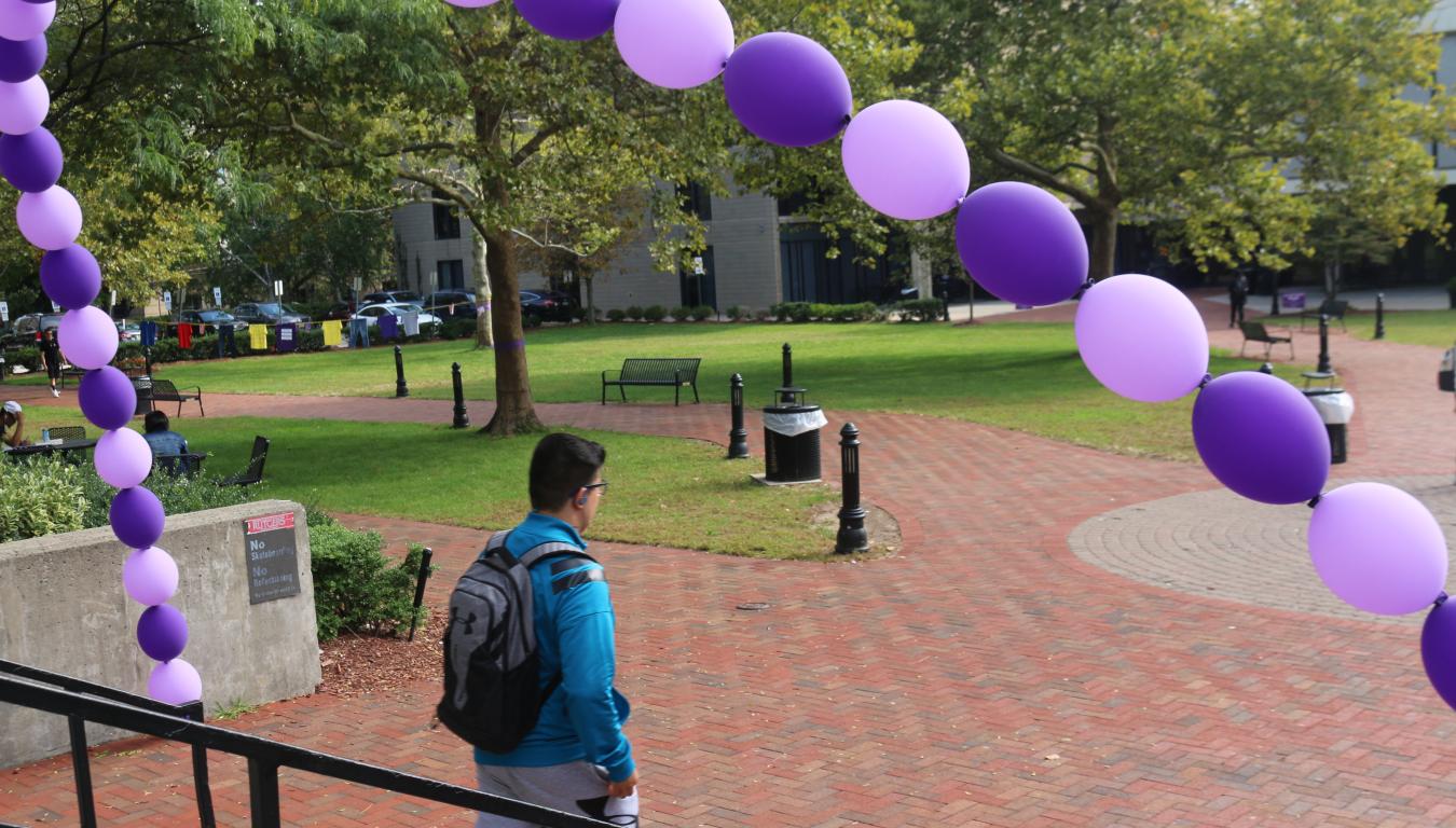 Campus purple 
